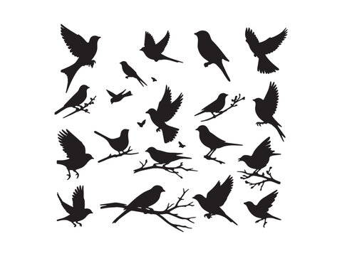 Birds silhouette vector file bundle isolated on white background