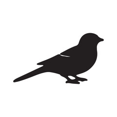 Bird silhouette vector file isolated on white background
