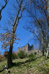 Burgruine Hohengeroldseck