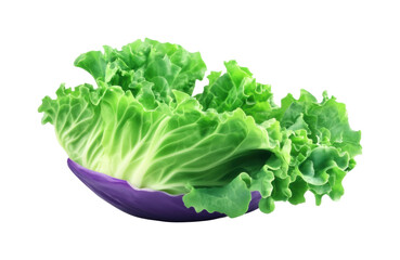 Fresh green lettuce in bowl kitchen food isolated on transparent background, png