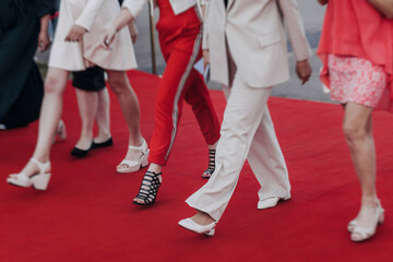 Red carpet with ropes and golden barriers on a luxury party entrance, cinema tv premiere film...