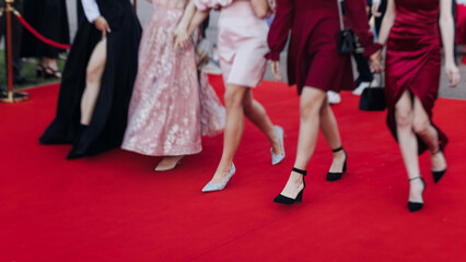 Red carpet with ropes and golden barriers on a luxury party entrance, cinema tv premiere film...