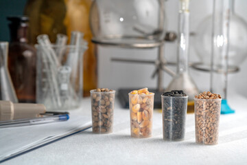 Laboratory studies of seeds. Studies on the analysis of agricultural grains and seeds in laboratory conditions.