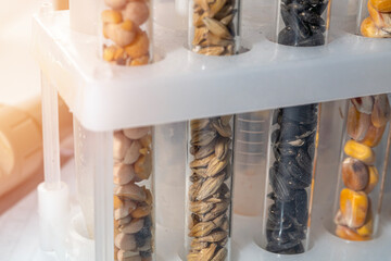 Laboratory studies of seeds. Studies on the analysis of agricultural grains and seeds in laboratory conditions.