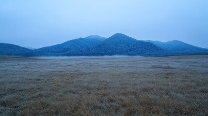 Fototapeta premium Snowy mountain range at dawn, misty field, winter landscape, nature background, travel poster
