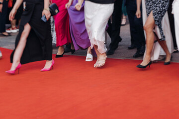 Red carpet with ropes and golden barriers on a luxury party entrance, cinema tv premiere film...