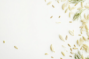 Floral Composition with White Petals and Fennel Seeds on White Background