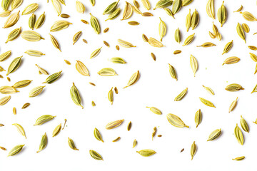 Scattered Fennel Seeds on White Background A Culinary and Aromatic Image