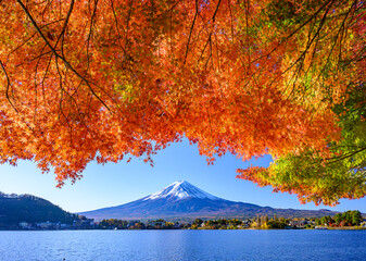 河口湖から富士山と紅葉