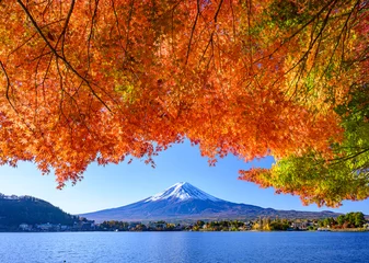 Foto op Canvas 河口湖から富士山と紅葉 © 文明 金本
