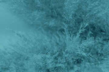 Deep Teal Noise and Static Abstract Background for Modern Designs