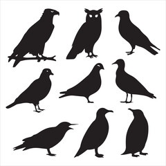 Fototapeta premium Silhouette collection of various birds against a white background.