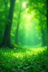 Fototapeta premium Emerald green bokeh, dreamy nature scene, abstract backdrop, soft focus, art, photography