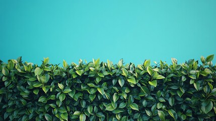 Green Living Wall Installation for Indoor Decoration