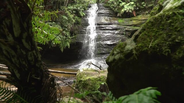 Pool of Siloam, a tranquil waterfall nestled in the lush rainforest of the Blue Mountains National Park, NSW, Australia. Waterfall surrounded by vibrant green ferns and moss-covered boulders.