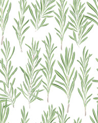 Obraz premium Sprigs of green rosemary seamless pattern hand drawn vector repeating background for textiles wallpapers packaging stationery