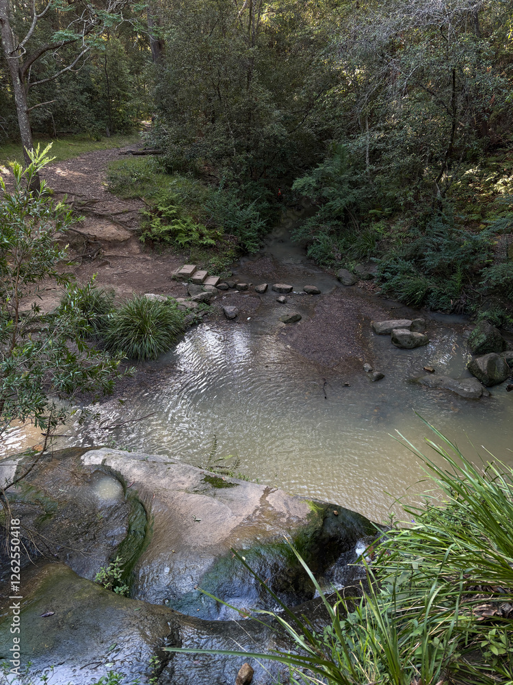 Canvas Prints beautiful view of forest and creek.