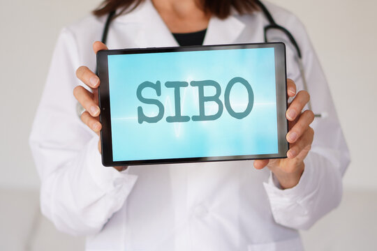 Sibo. woman doctor pointing with the acronym of this disease on her tablet with medical background