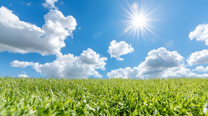 Sunny day, green grass field, blue sky, clouds, nature background, ideal for websites
