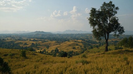 Obraz premium Golden hills, rural landscape, tranquil view, distant mountains