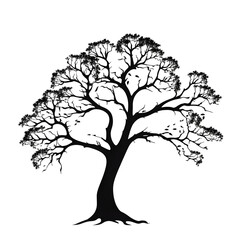 tree silhouette