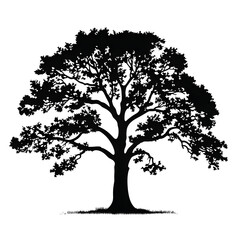 tree oak silhouette