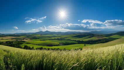 Fototapeta premium Vast Green Expanse A panoramic view of a lush green landscape with rolling hills and a bright blue sky dotted with fluffy white clouds creating a sense of peace and tranquility
