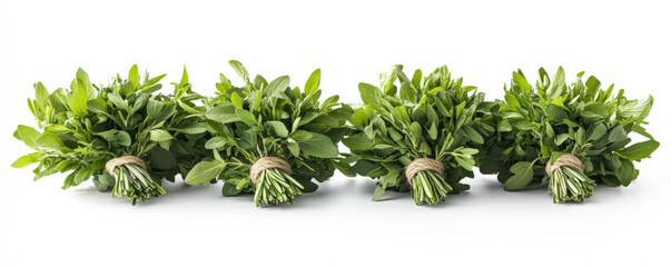 Obraz premium Fresh herbs like rosemary, sage, and thyme arranged in bundles create rustic and vibrant display. Perfect for culinary use or decoration
