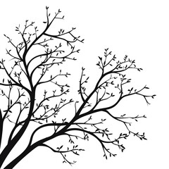 Obraz premium tree branches silhouette