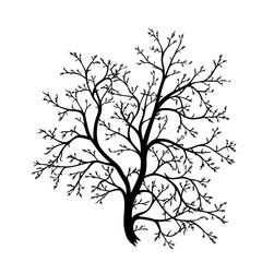 tree branches silhouette