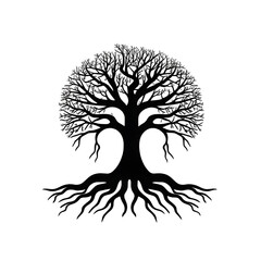 tree roots silhouette