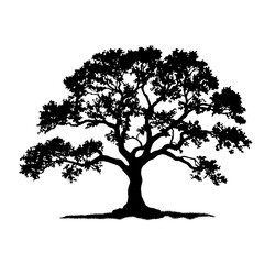 oak silhouette