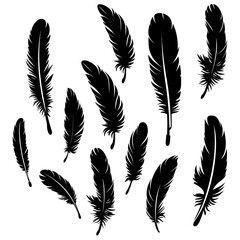 feathers silhouette