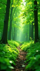 Fototapeta premium Intense spring-green hue, perfect for lively projects , ecology, intense