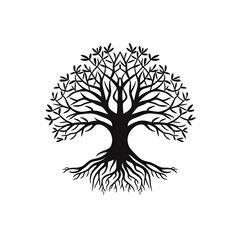 tree roots silhouette