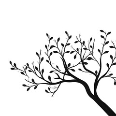 Obraz premium tree branches silhouette