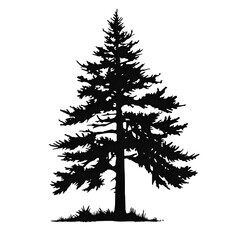 clipart pine tree silhouette