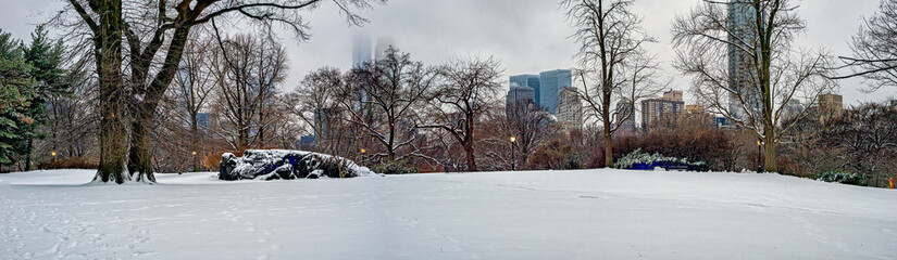 Central Park in winter , after snow storm