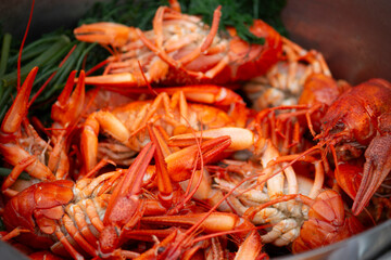 Fresh caught cooked crayfish in a pot. Travel food concept