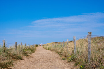 Path through the dunes with fence and beach grass on the North Sea coast