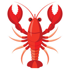 Fresh Lobster Displayed on White Background