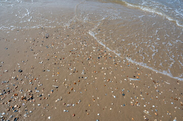 Waves on the sandy beach with lots of mussels