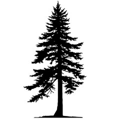 pine silhouette