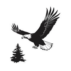 Obraz premium bald eagle silhouette