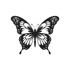 butterfly silhouette