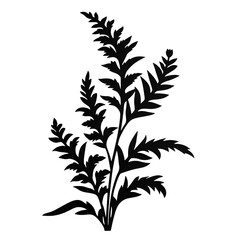 Fototapeta premium plant silhouette