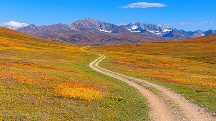 Winding mountain road through autumnal wildflowers
