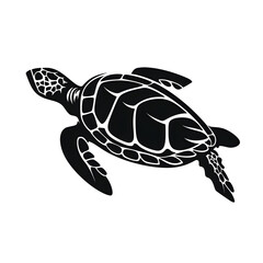 Obraz premium sea turtle silhouette