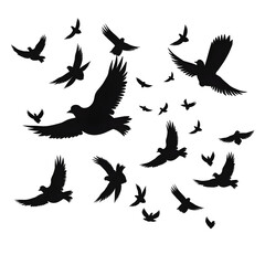 Obraz premium birds flight silhouette