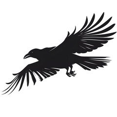 Obraz premium raven flight silhouette